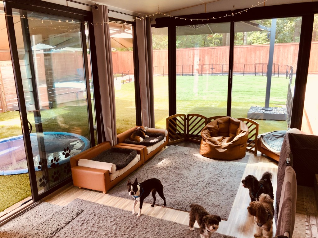Stunning Luxury Penthouse Apartments With Customized Home Dog Daycare Services image
